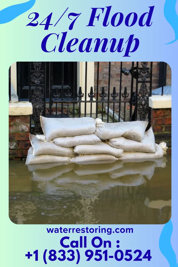 24/7 Flood Cleanup in Guys, TN