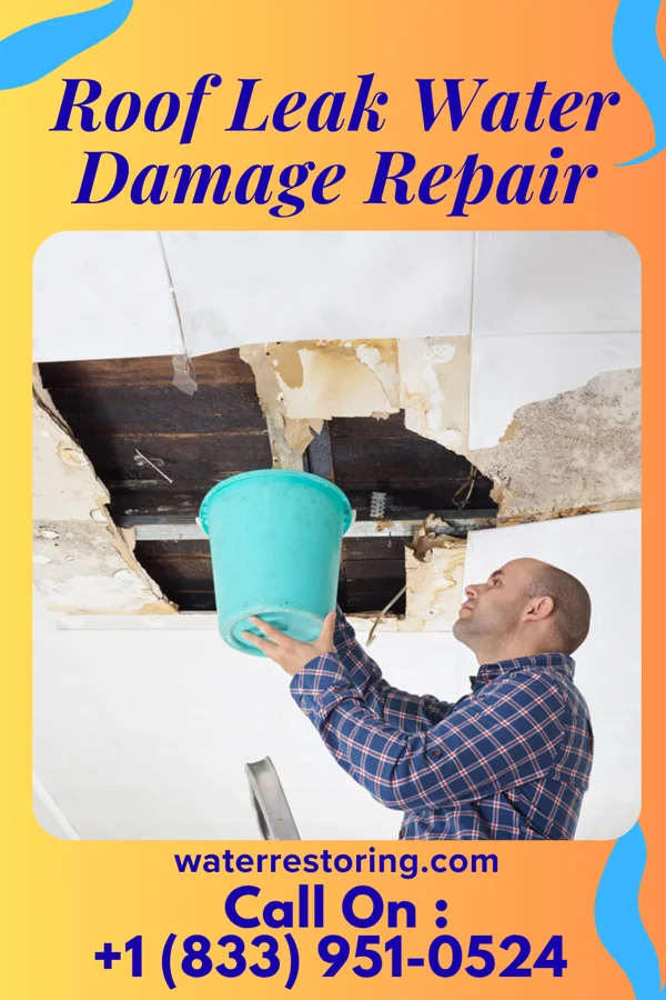 Roof Leak Water Damage Repair in Guys, TN